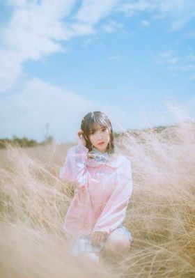 策驰电影免费在线观看完整版_DVD免费全集观看